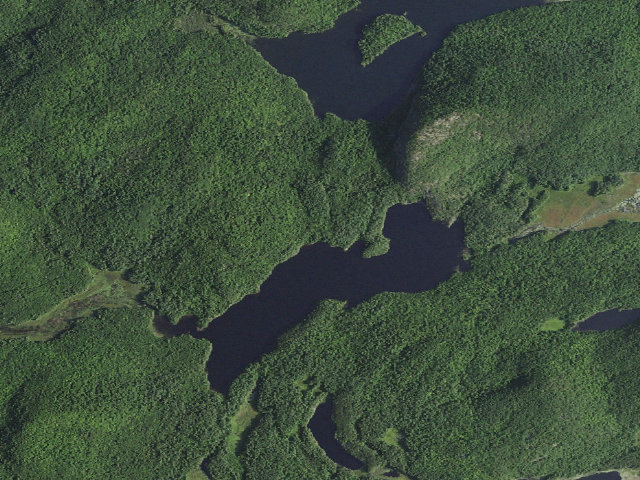 Aerial image of Crane Pond Campsite 4 (Pharaoh Lake Wilderness)
