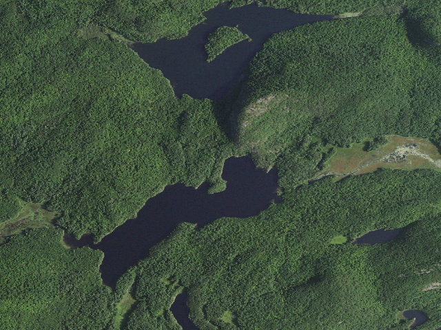 Aerial image of Crane Pond Campsite 5 (Pharaoh Lake Wilderness)
