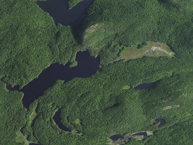Aerial image of Crane Pond Campsite 7 (Pharaoh Lake Wilderness)