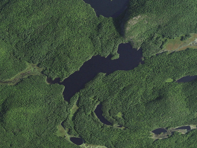 Aerial image of Crane Pond Campsite 8 (Pharaoh Lake Wilderness)