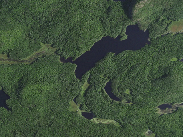 Aerial image of Crane Pond Campsite 9 (Pharaoh Lake Wilderness)