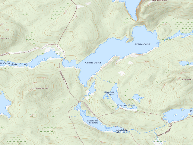 USGS topographic map of Crane Pond Campsite 9 (Pharaoh Lake Wilderness)