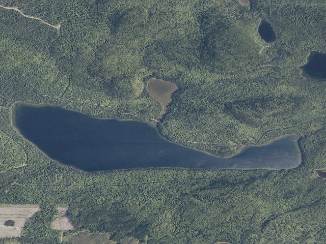 Aerial image of Crater Pond Outlet (Deboullie Public Land)