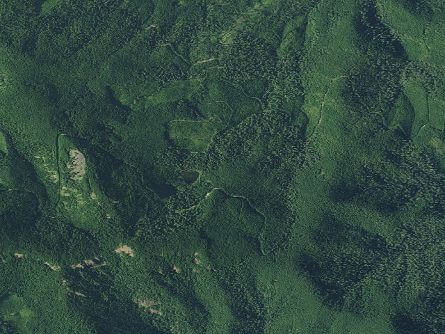Aerial image of Crawfish Lake Shelter