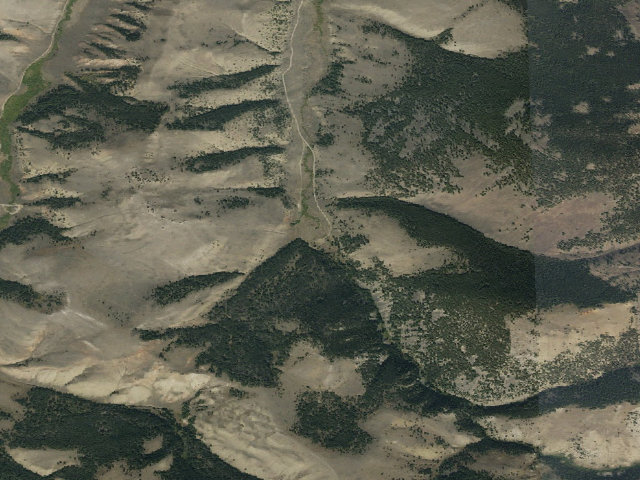 Aerial image of Crazy Dogs