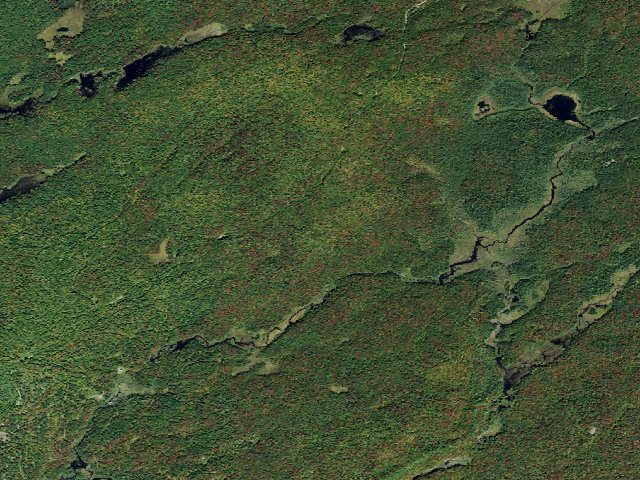 Aerial image of Creek Road Campsite (Watsons East Triangle Wild Forest)