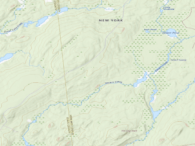 USGS topographic map of Creek Road Campsite (Watsons East Triangle Wild Forest)
