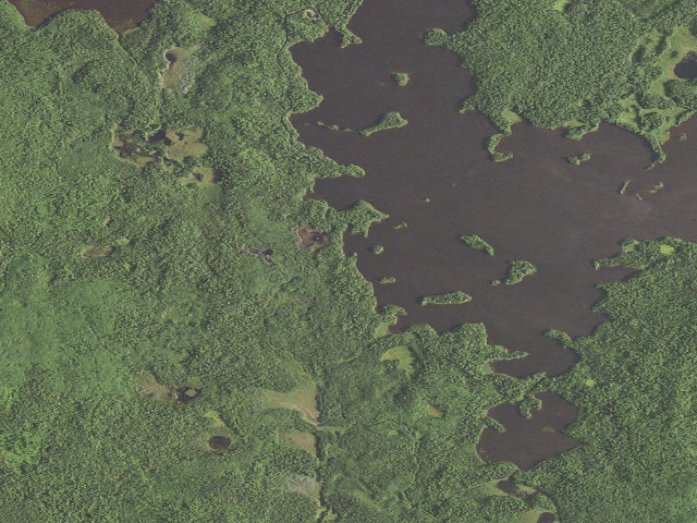 Aerial image of Crescent Lake Site #1
