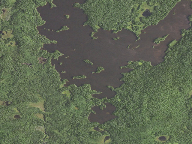 Aerial image of Crescent Lake Site #3
