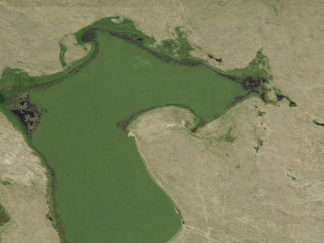 Aerial image of Crescent Lake WMA