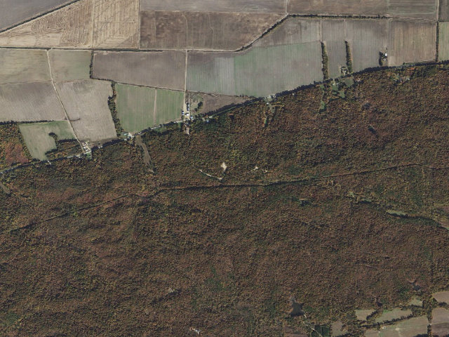 Aerial image of Crow Tract Camping Area