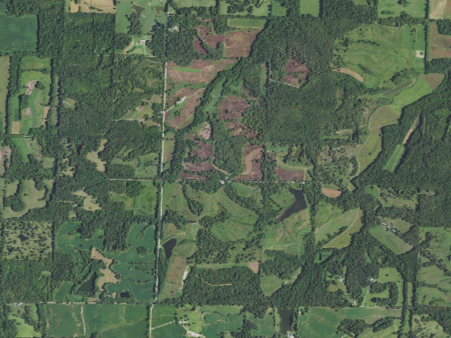 Aerial image of Crowleys Ridge Conservation Area