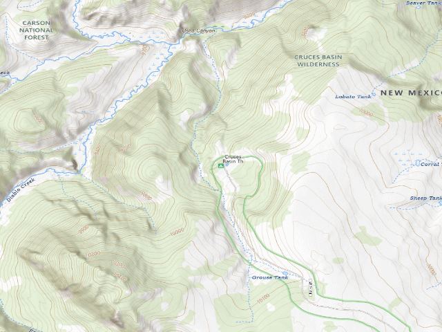USGS topographic map of Cruces Basin Th