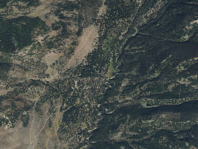 Aerial image of Ctwood006