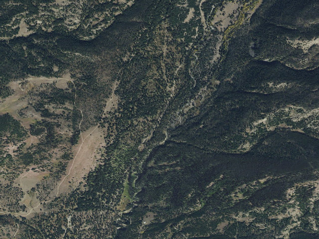 Aerial image of Ctwood008