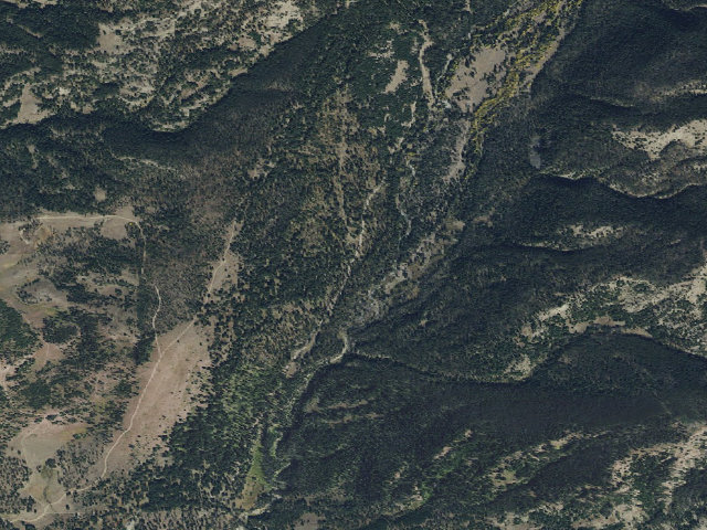 Aerial image of Ctwood009