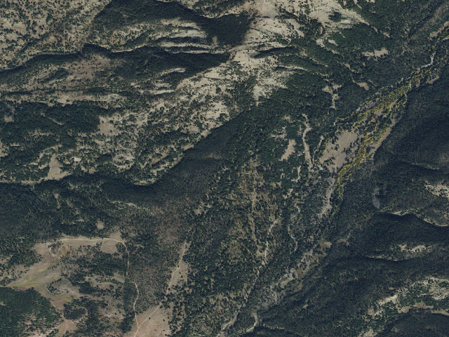 Aerial image of Ctwood011