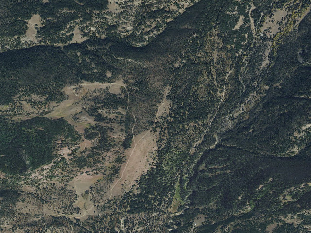 Aerial image of Ctwood013