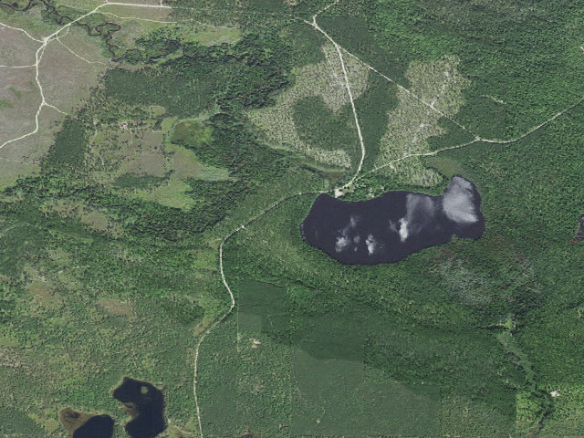 Aerial image of Culhane Lake State Forest Campground