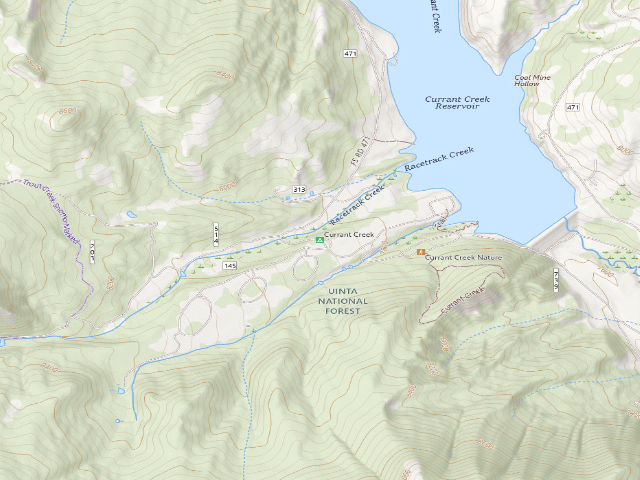 USGS topographic map of Currant Creek
