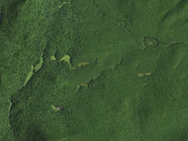 Aerial image of Curtis Brook Campsite (Siamese Ponds Wilderness)