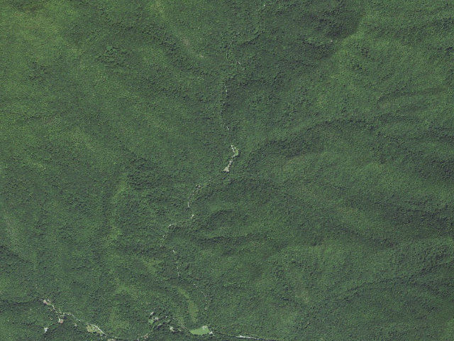 Aerial image of Curtis Creek Campground