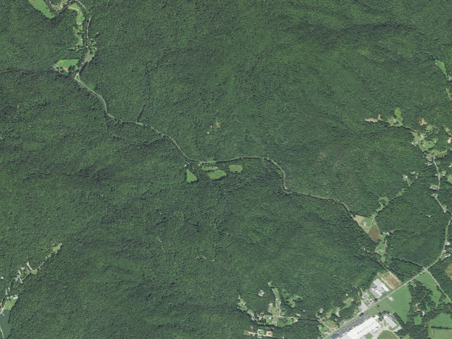 Aerial image of Curtis Creek Roadside Campsites