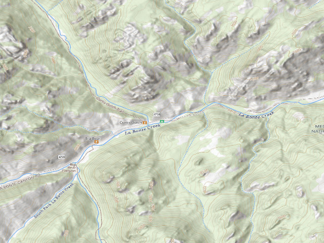USGS topographic map of Curtis Gulch