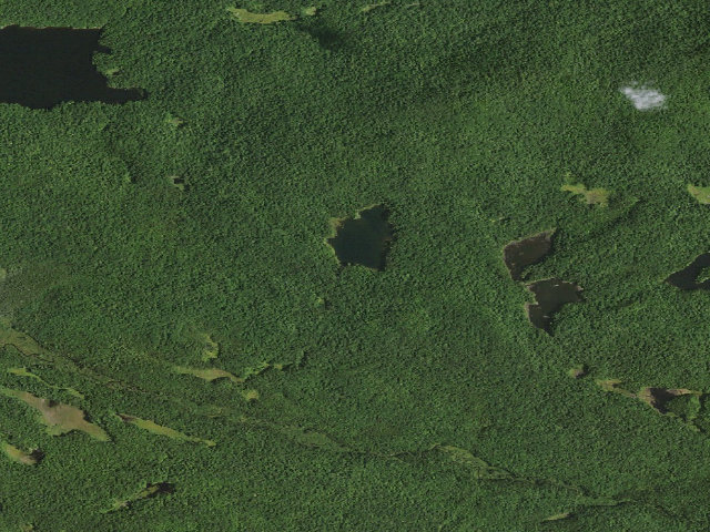 Aerial image of Curtis Pond (Cranberry Lake Wild Forest)