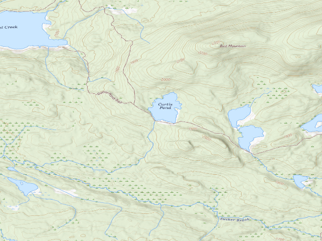 USGS topographic map of Curtis Pond (Cranberry Lake Wild Forest)