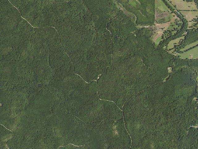 Aerial image of Custis Hunter Camp