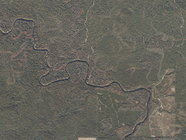 Aerial image of Cypress Creek Landing