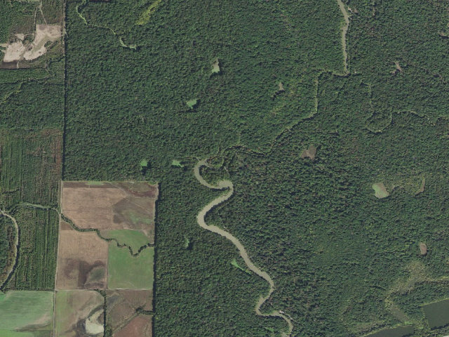 Aerial image of Dagmar Camping Area #11