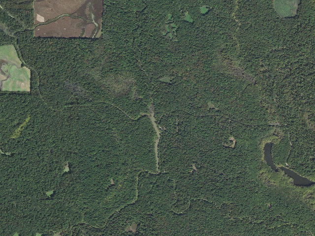 Aerial image of Dagmar Camping Area #12