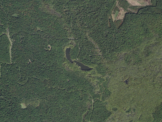 Aerial image of Dagmar Camping Area #14