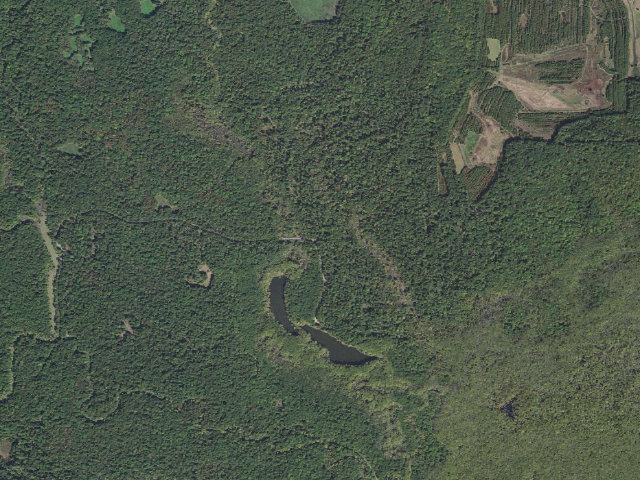 Aerial image of Dagmar Camping Area #8