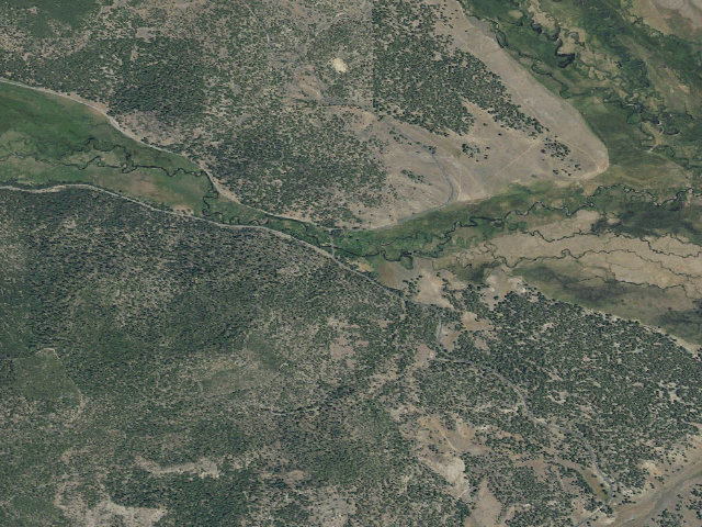 Aerial image of Dairy Point Developed Campground
