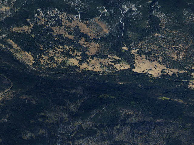 Aerial image of Daisy
