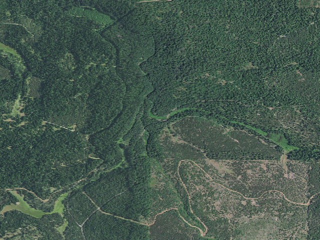 Aerial image of Daley Creek Campground