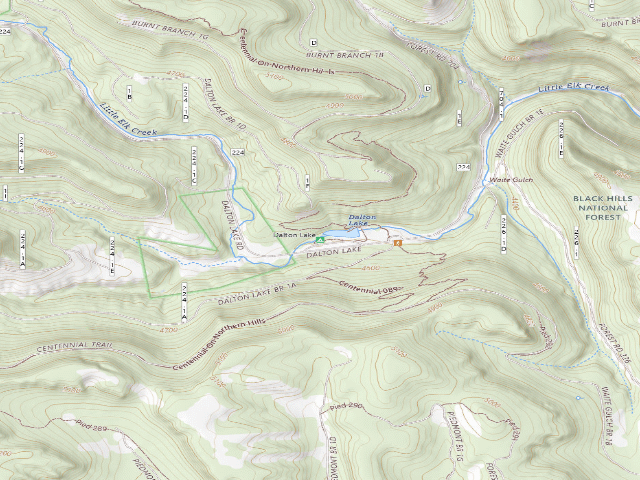 USGS topographic map of Dalton Lake