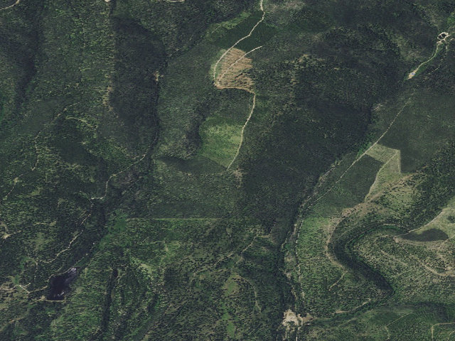 Aerial image of Dalton-Rd 329-008