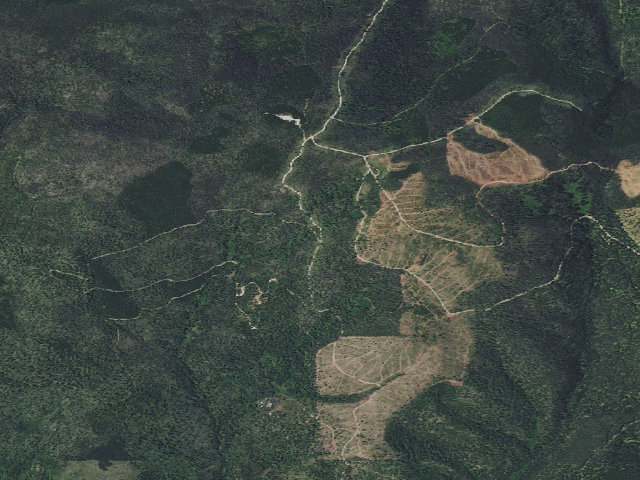Aerial image of Dalton-Rd 329-009