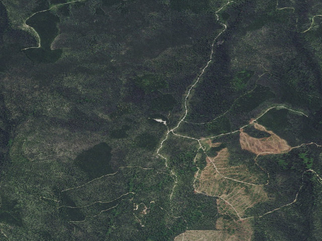 Aerial image of Dalton-Rd 329-103