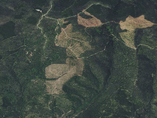 Aerial image of Dalton-Rd 329-105