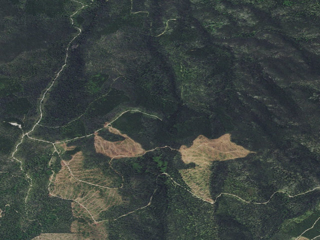 Aerial image of Dalton-Rd 329-106