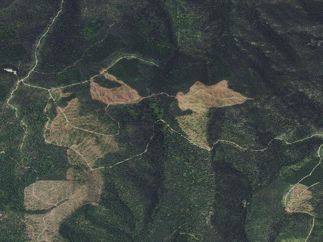 Aerial image of Dalton-Rd 329-107