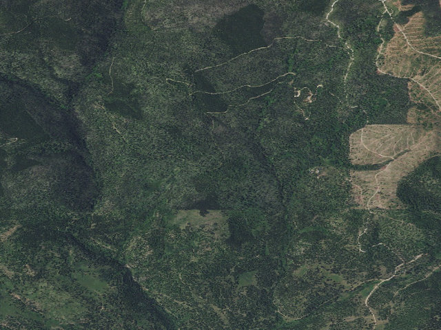 Aerial image of Dalton-Rd329-010