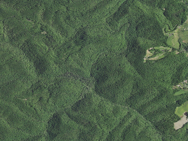 Aerial image of Daniel Boone National Forest