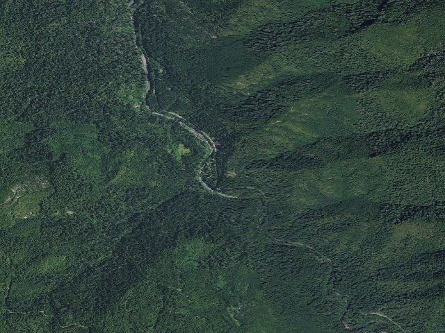 Aerial image of Daphne Grove
