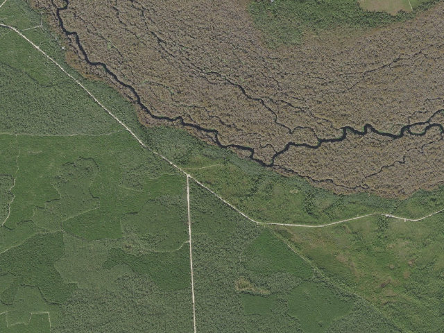 Aerial image of Davenport Landing